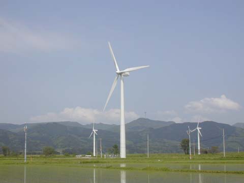 風力発電機群の全景